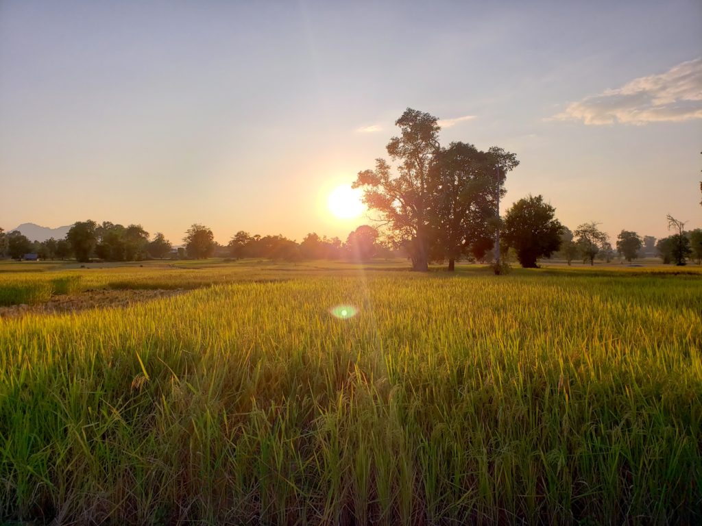 Laos Writing Spot: Don Det