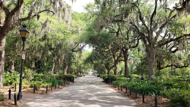 Writers Travel Guide To Savannah, Georgia: Literary Travel - Voyage Scribe