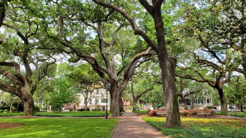 Writers Travel Guide to Savannah, Georgia: Literary Travel - Voyage Scribe