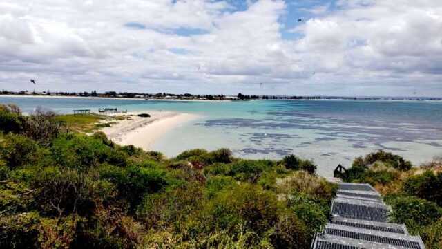 Penguin Island with a view of Fremantle and Perth beyond the water