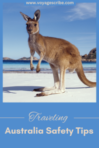 Traveling Australia Safety Tips Pin Kangaroo