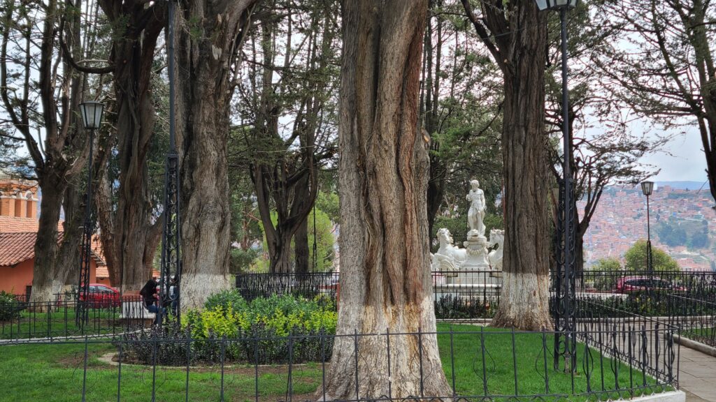 Trees of Monticulo Park near the Yellow Line cable car with La Paz city in background