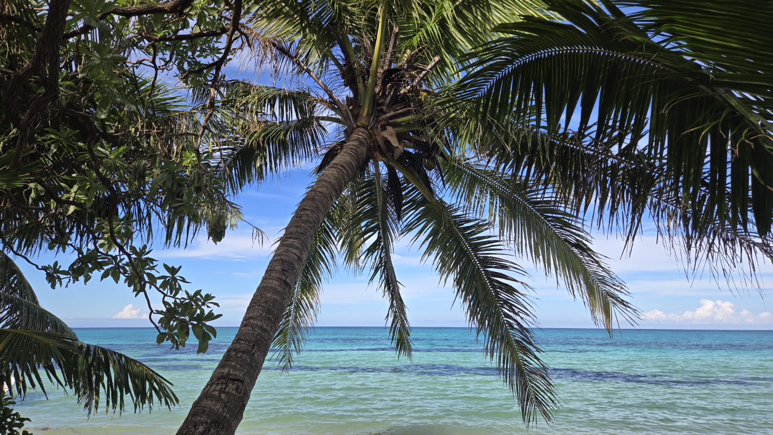 Authentic Fiji Itinerary on a Budget: Yasawa Islands in 1 week