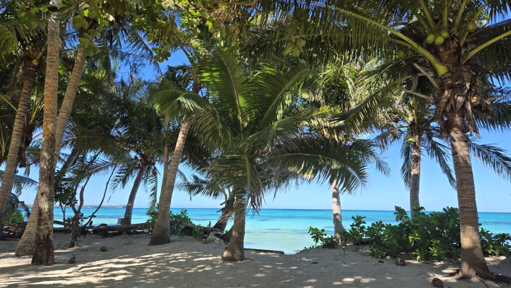 Literal paradise at Gold Coast Inn, with white sand, turquoise water and palms